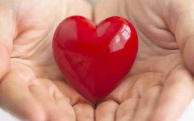 2021, To Health, Work, and Human Capital